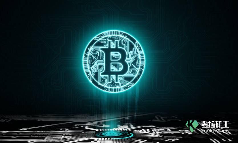 揭秘黄大仙六肖中特，期期的精准资料黄大仙精准资料六肖果