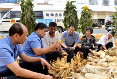 管家婆2053精准资料大全，解锁商业管理新境界