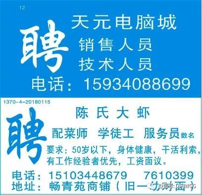 天天人才网，打造高效、精准的招聘与求职平台天天人才网最新招聘信息2024年