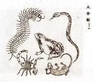 今晚澳门三肖兔羊蛇，神秘预测与文化解读今天晚上澳门三肖兔羊蛇今晚上9:30澳门开的三萧山