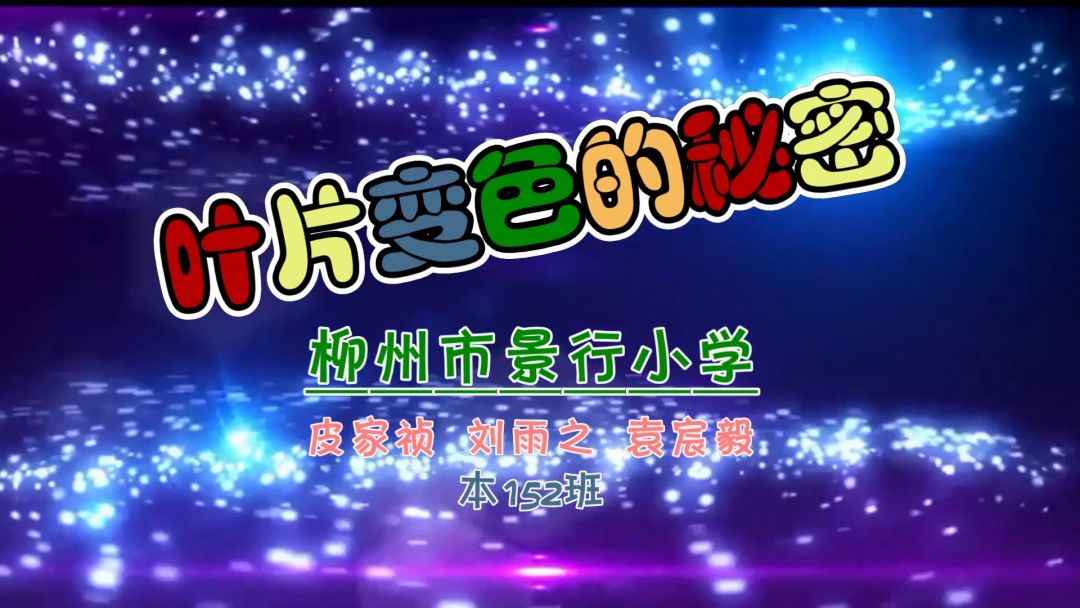 澳门新貌，探索最新最快的资讯与动态澳门最准最快的免费的