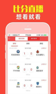 308k二四六天天好彩，揭秘彩票资料大全的真相与风险308k二四六天天、好彩资料大全 小说