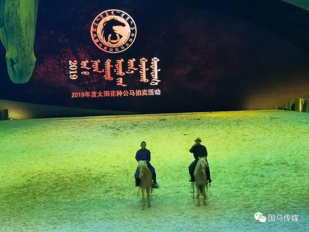 2019年马会正版，一场科技与传统的完美融合2019年马会正版生活幽默图片