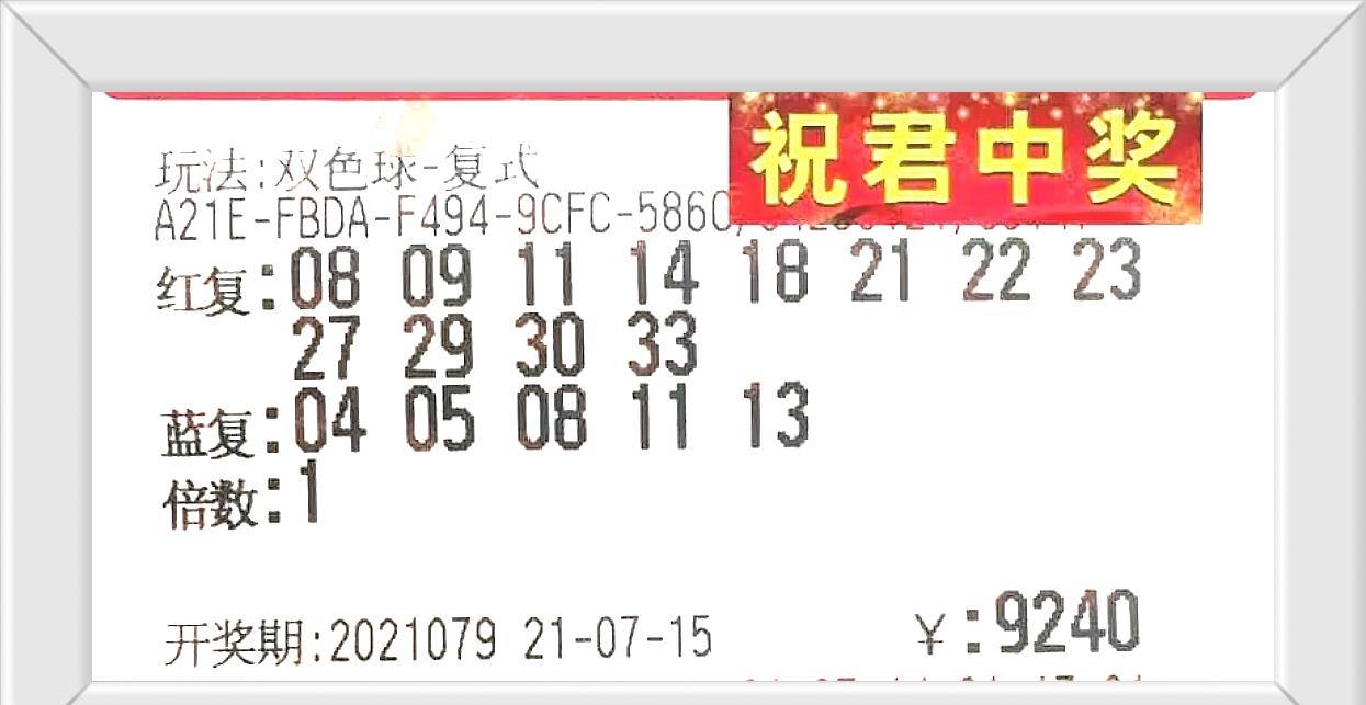 2031年今晚澳门开奖码结果，一场数字的盛宴与期待澳门今晚开奖结果2020