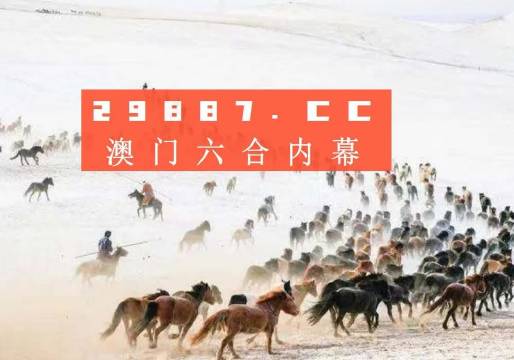 澳门彩49，揭秘最新开奖记录与未来趋势新澳门彩4949最新开奖记录新奥