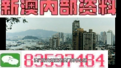 澳门49台资料大全，揭秘与警示