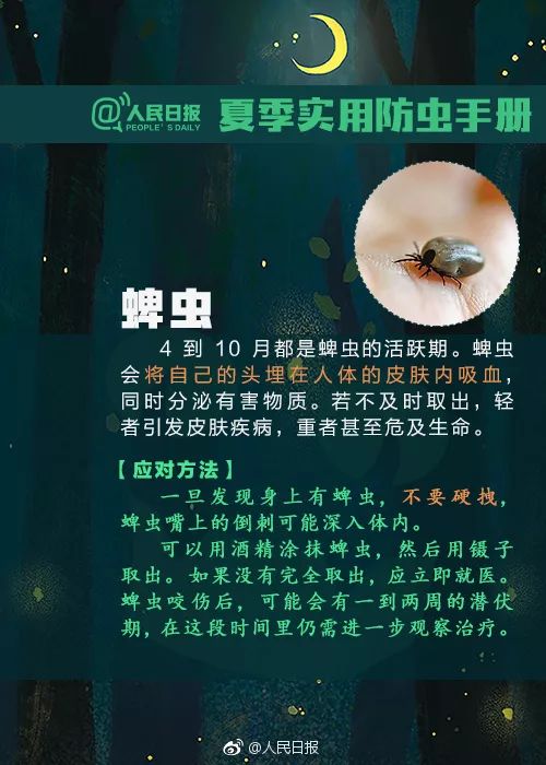 2036香港资料大全免费，一站式获取最新资讯与实用指南2023香港资料大全免费完整版