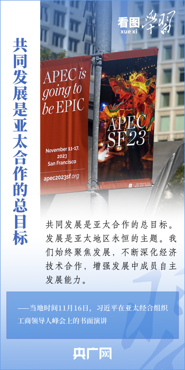 探索新澳门资料大全，203年免费下载的全面指南2025年正版资料免费大全