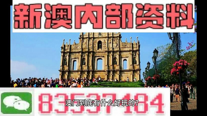 澳门新风貌，2046年资料大全与官家婆的独特魅力新澳门2024年资料大全官家婆五指毛桃有什么功能