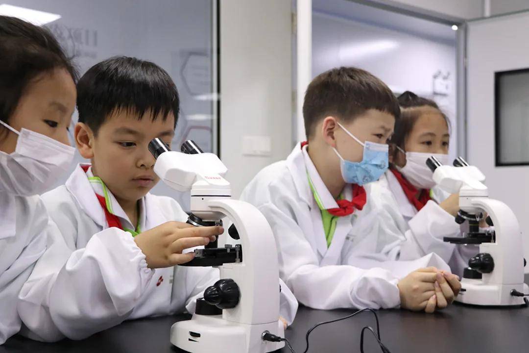 探索香港现场开奖的奥秘与影响香港现场开奖结果十开奖记录