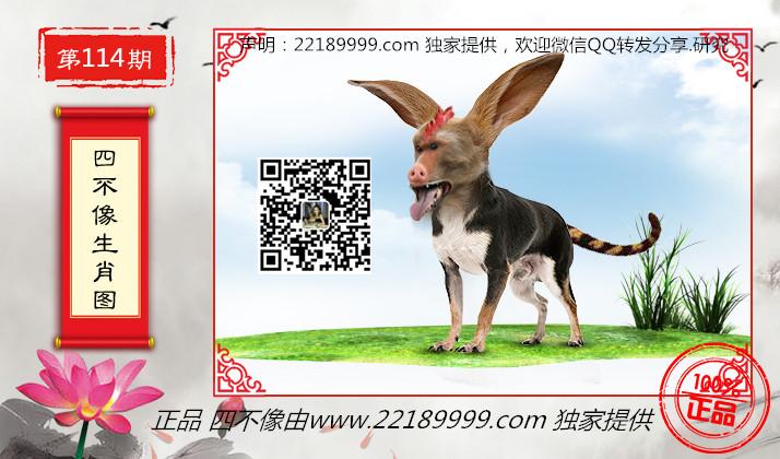 今日特马图四不像，探索数字时代的彩票文化与心理奇观新奥最精准免费大全