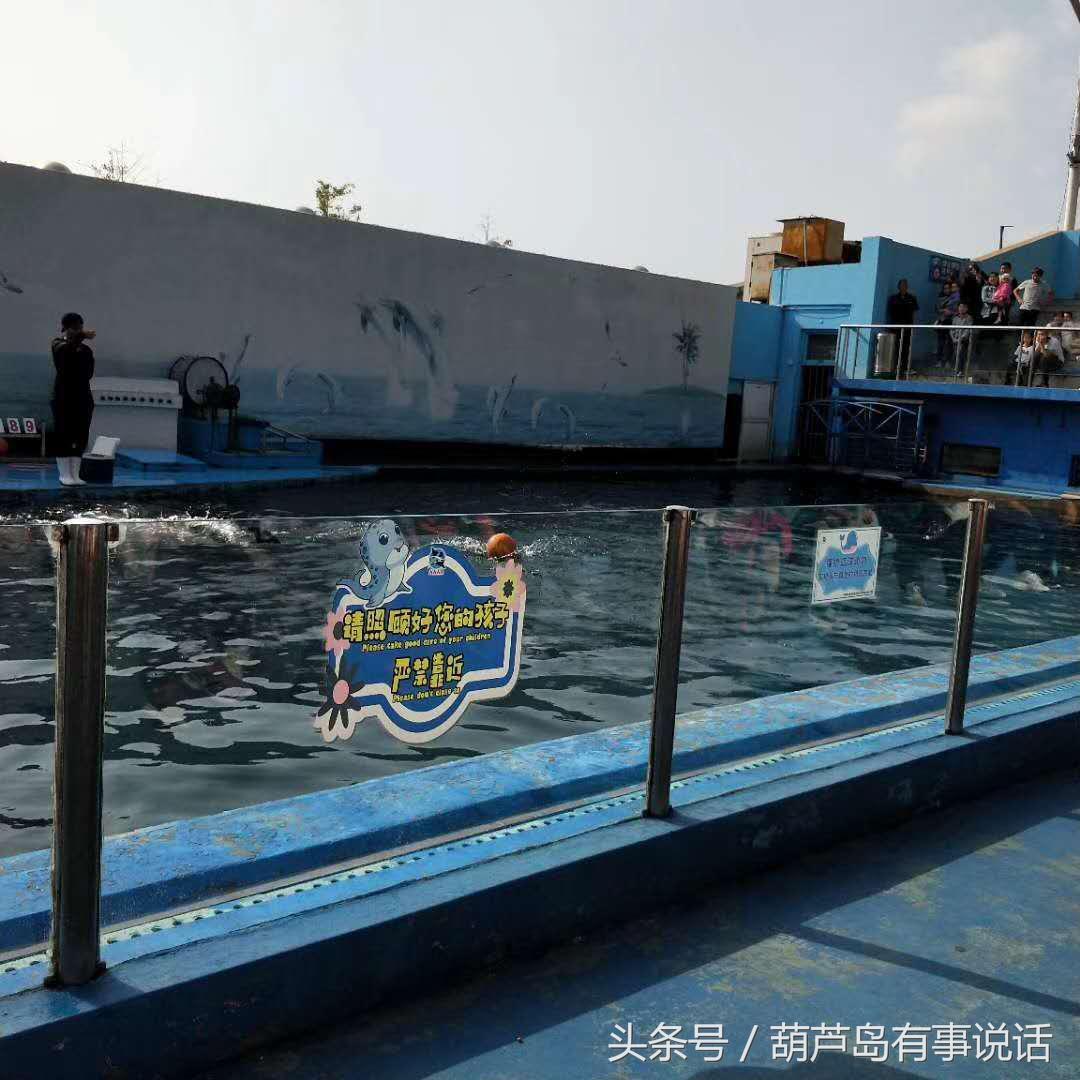 新澳天天彩