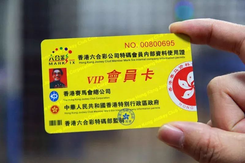 探索香港特马，全面资料大全香港特马资料大全使用心得