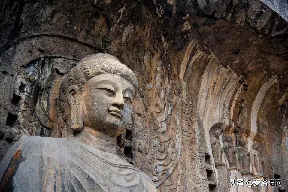 捷克论坛，分享王国中的智慧火花捷克论坛分享王国最新ip2019