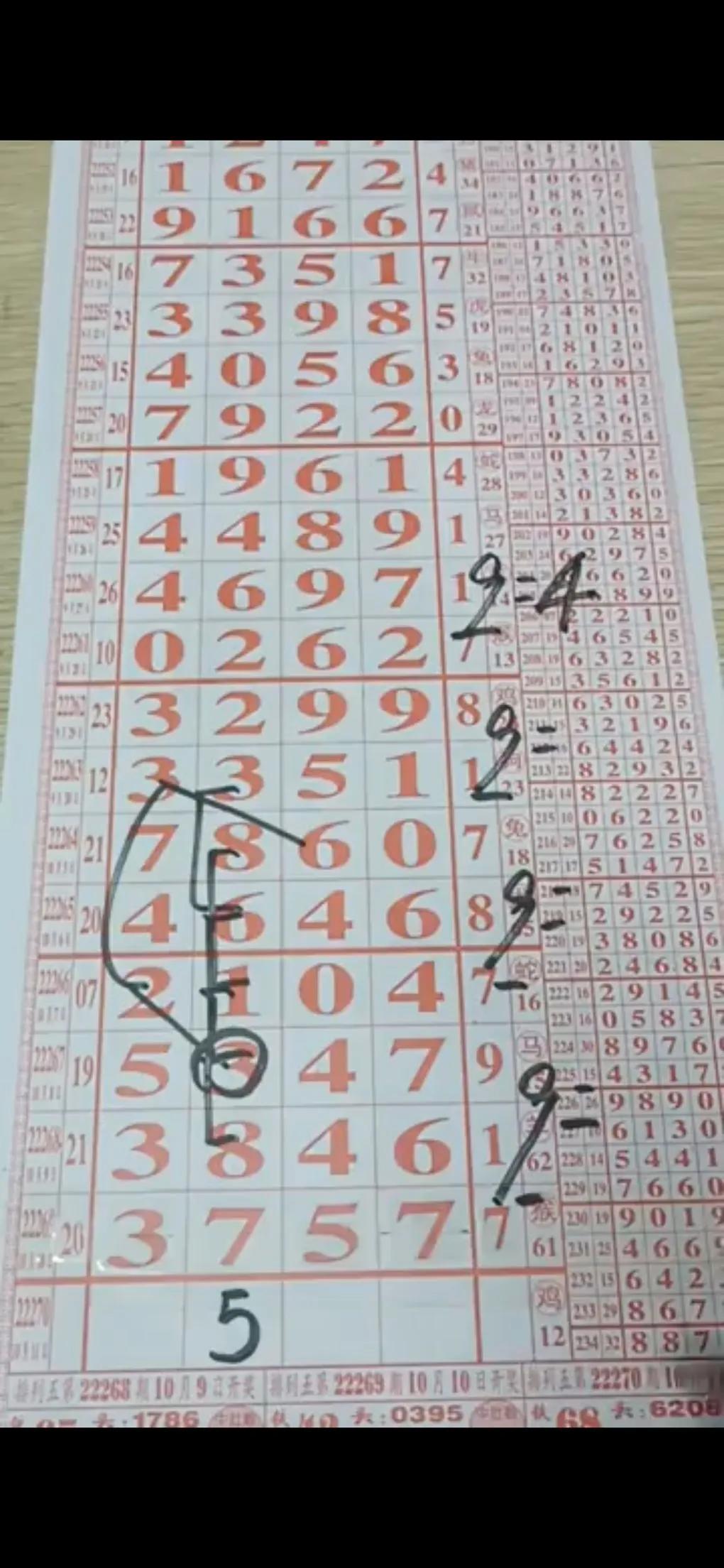 探索数字世界的宝藏，白姐图库的魅力之旅白姐图库大全下载安装白姐图库使用方法