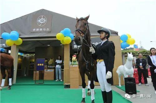 探索香港马会网站，一站式赛事信息与娱乐体验的殿堂香港免费公开资料大全