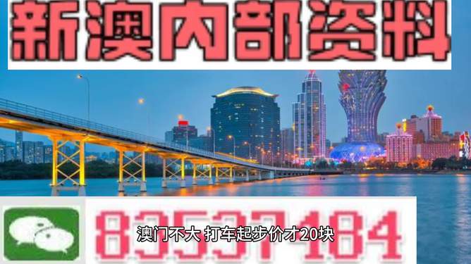 澳门新历史，免费资料大全与开马盛况新奥最精准免费大全
