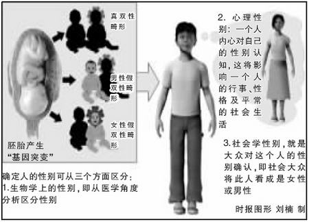 探索双性人生，殅器、自交与图片背后的复杂议题双性人功能及结构图片