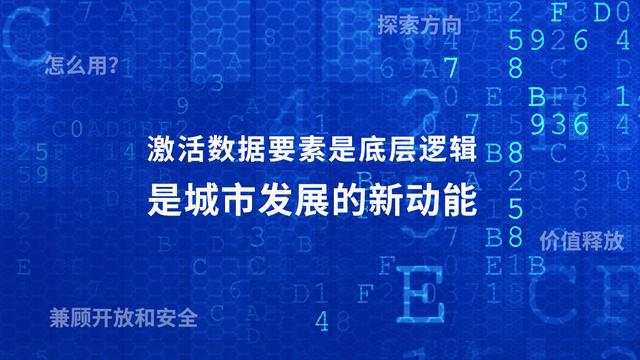 探索二四六108的数字奥秘，揭秘精选资料图库二四六118精选资料图库图片