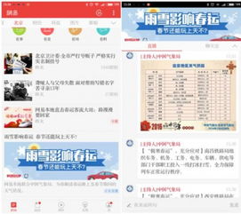 探索正版马会精选资料大全，解锁赛马的智慧与乐趣正版马会精选资料大全今天撩