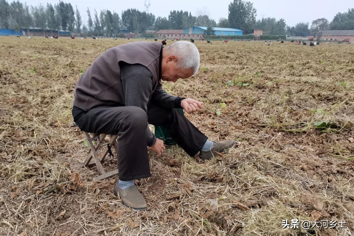 探索焦作新风貌，www.jiaozuo.com的魅力之旅大豆行情网免费v