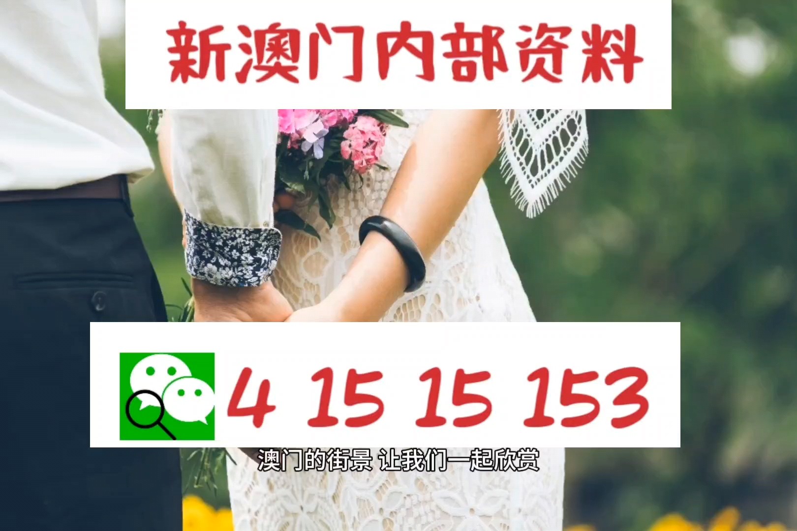 澳门新正版资料免费公开，透明、公正与安全的未来2021澳门最新资料
