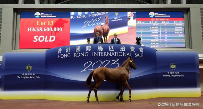 2019年香港马内部免费资料，揭秘赛前准备与策略