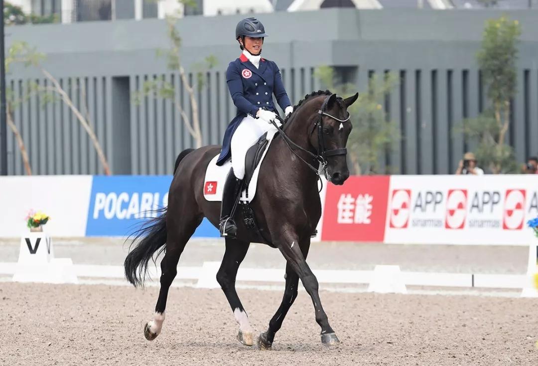 2019年香港马会内部免费资料揭秘，一场关于智慧与策略的较量香港马资料大全2019
