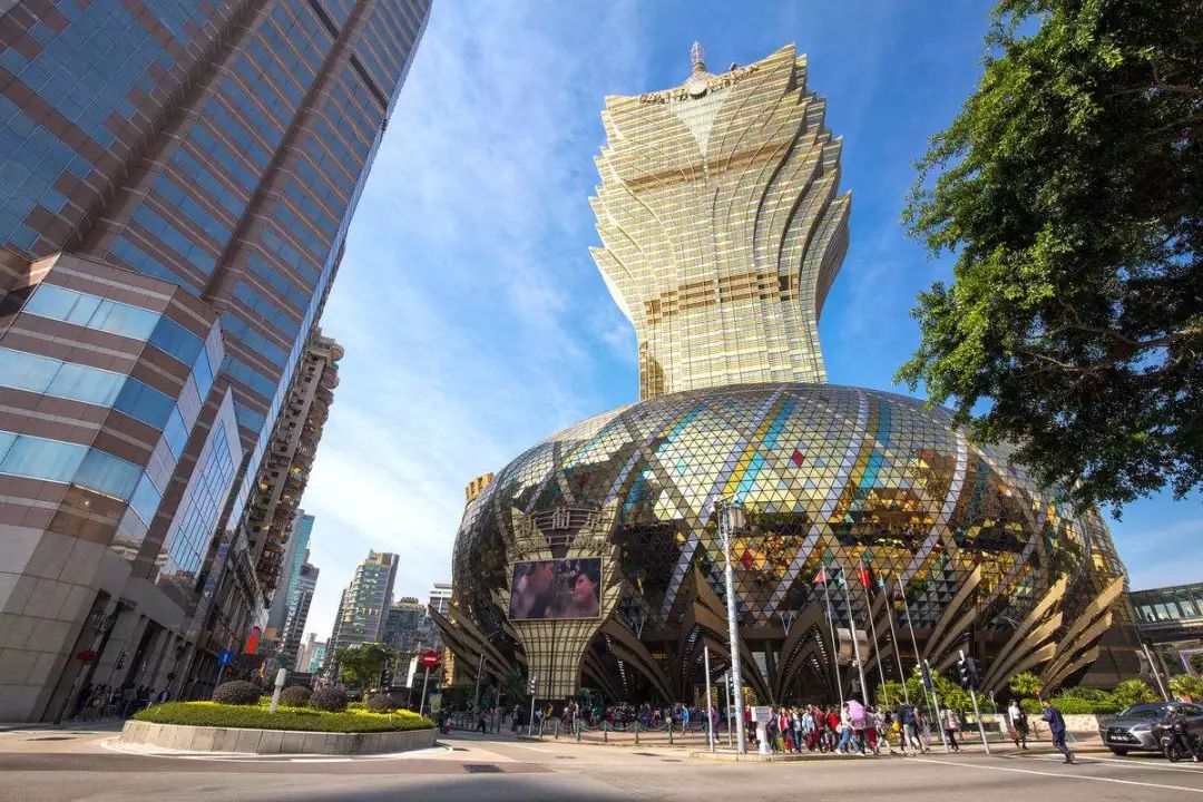 澳门新貌，最新最快资讯速递新澳门最精准正最精准龙门