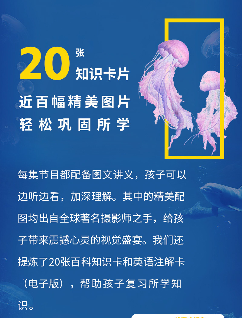 探索知识海洋，正版免费资料大全943的魅力与价值白小组正版免费资料大全