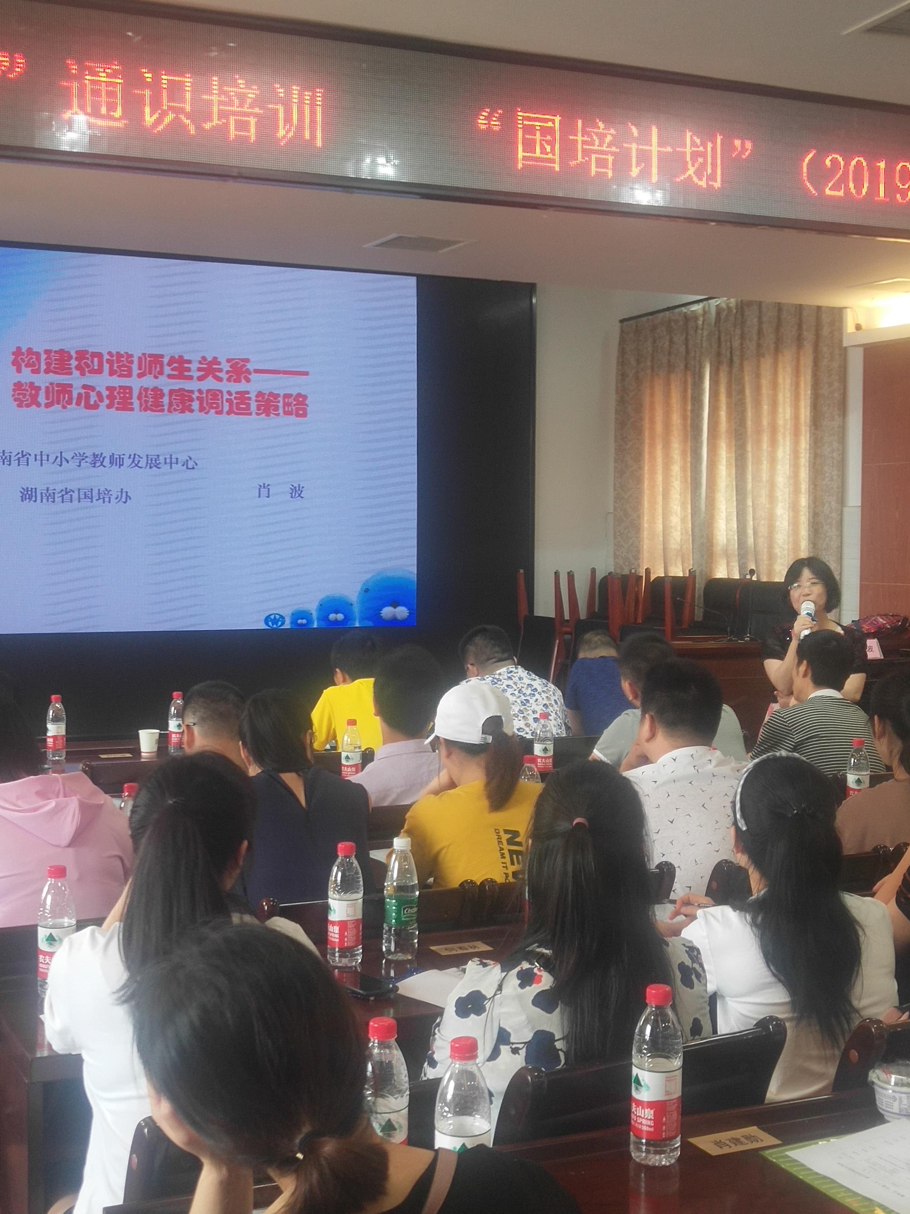 探索2肖3码的奥秘，解锁数字游戏的智慧与策略2肖3码资料