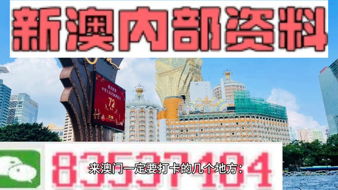 2046，澳门天天开好彩的未来展望2024澳门天天彩期期精准
