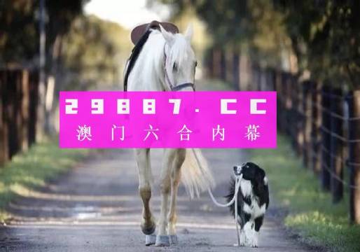 澳门彩，揭秘49选6的奇妙世界澳门49彩官方网站百度