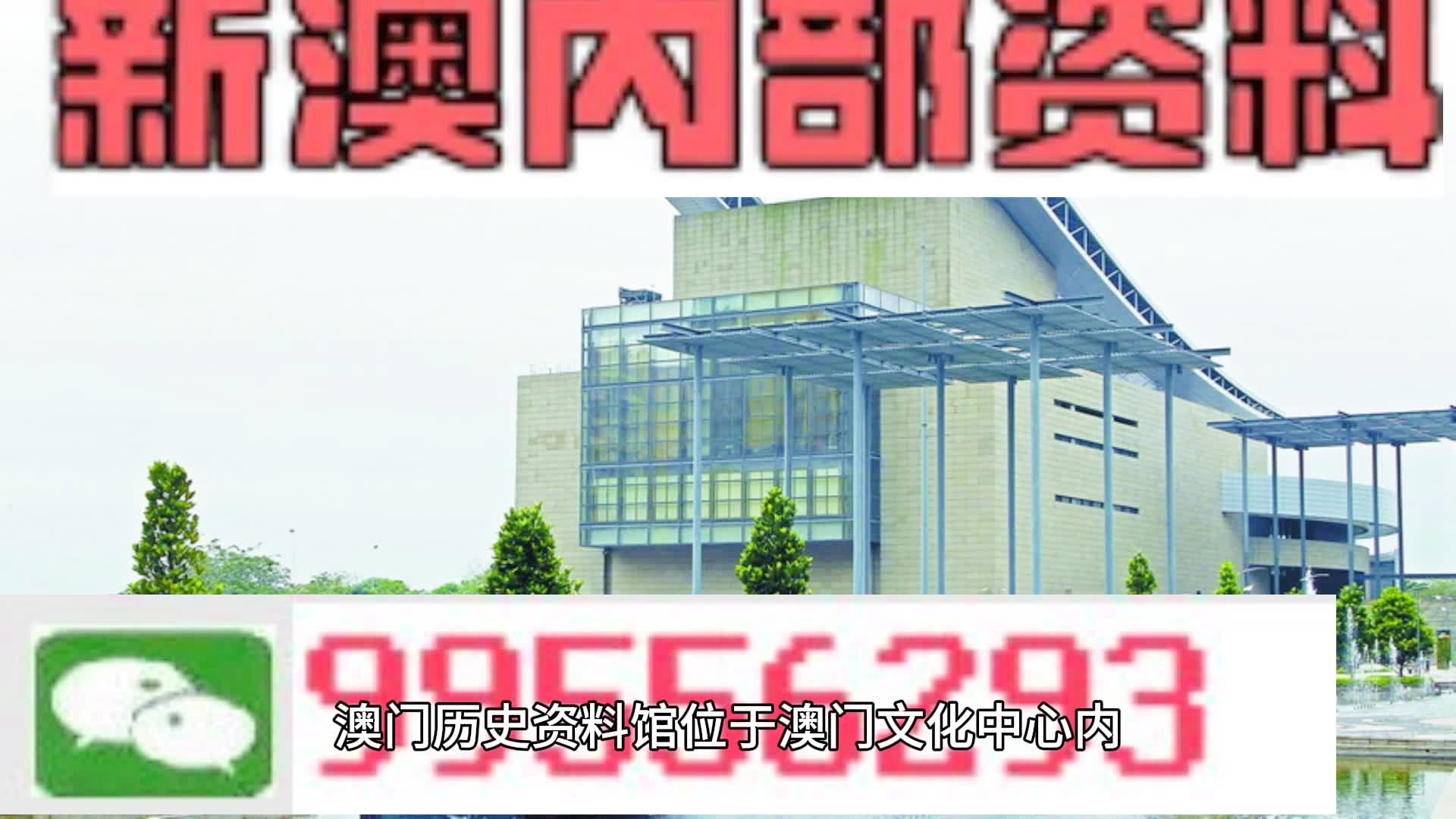 2046年新澳门王中王的传奇与展望2024年新澳门王中王资料第152期