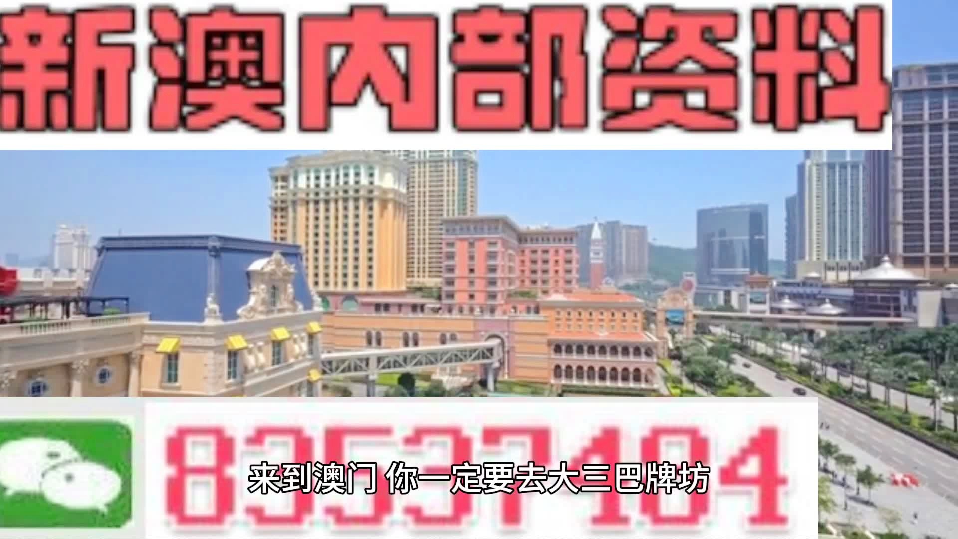 2046年新澳门王中王的传奇，揭秘与展望2024年新澳门王中王资料,重点全面解