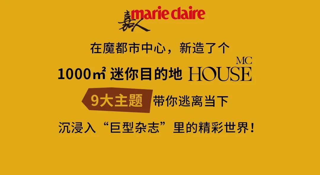 揭秘2048，新澳门今晚开特马直播的背后真相与风险警示2025澳门今晚开奖号码