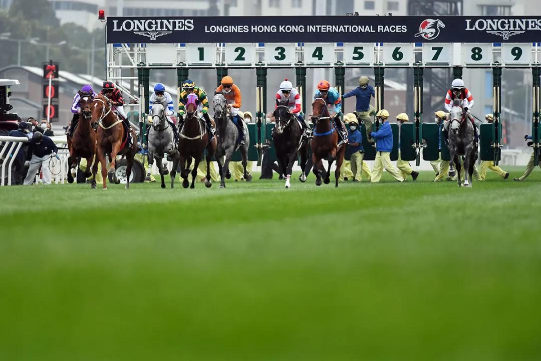 探索香港马会全年资料大全，历史、成就与未来展望香港2021年马会资料大全