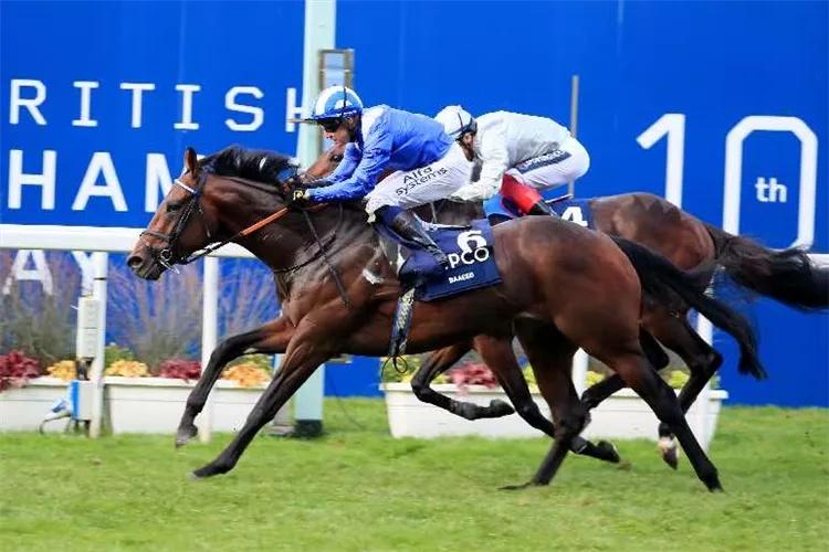 探索香港全年资料马会大全，赛马的魅力与文化香港2021年马会资料大全