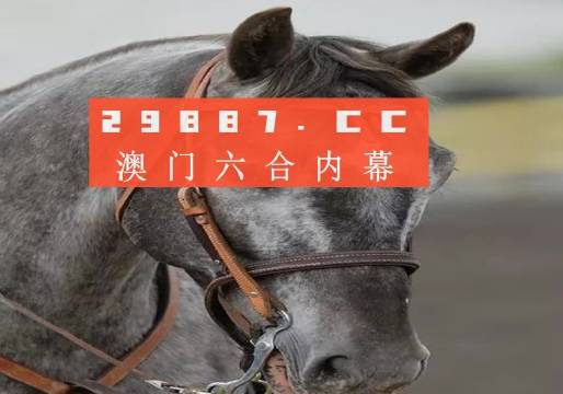 澳门一肖，历史与未来的交汇点澳门一肖一码澳门跑狗