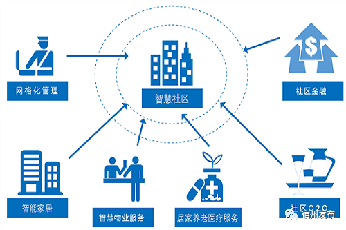2019年香港马内部免费资料，揭秘赛前策略与选马的智慧香港马资料大全2019