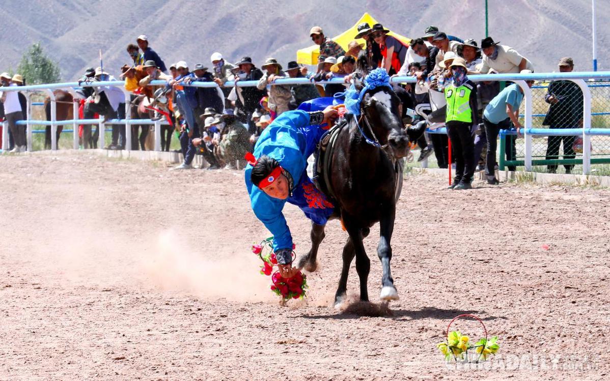 探索香港全年资料马会大全，赛马的激情与文化的交融香港2021年马会资料大全