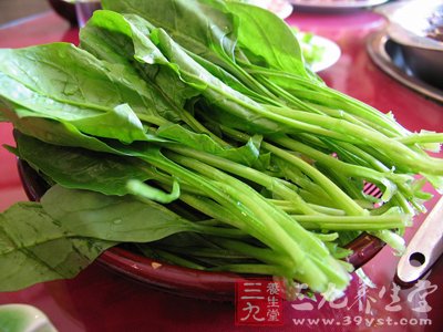 菠菜网，打造高效、安全的在线招聘与求职平台