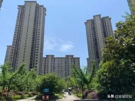 钱多多心水论坛，理财与生活的智慧交汇处钱多多资料论坛