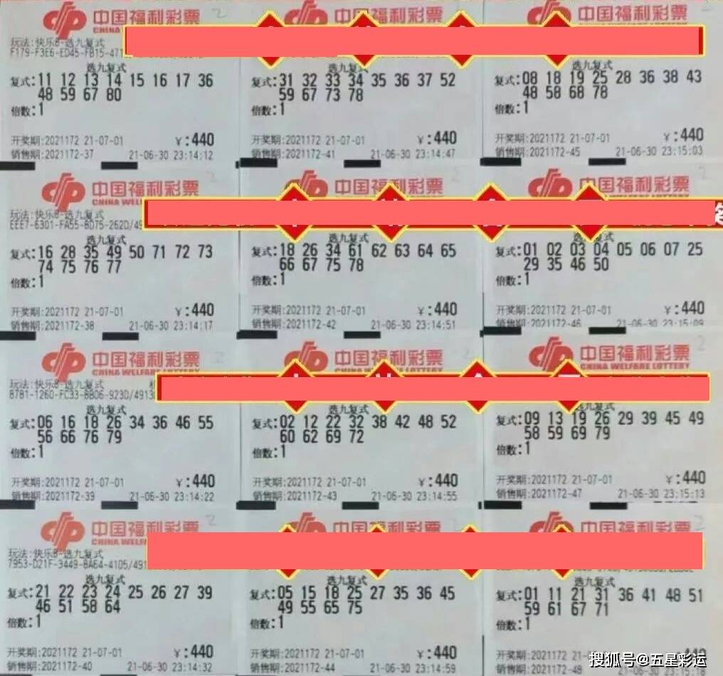 揭秘一肖三码背后的真相，理性看待彩票投注策略搜索薪澳门一肖三码