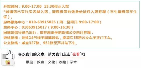 探索二肖3码的奥秘，解锁数字游戏的智慧与乐趣1肖十2码