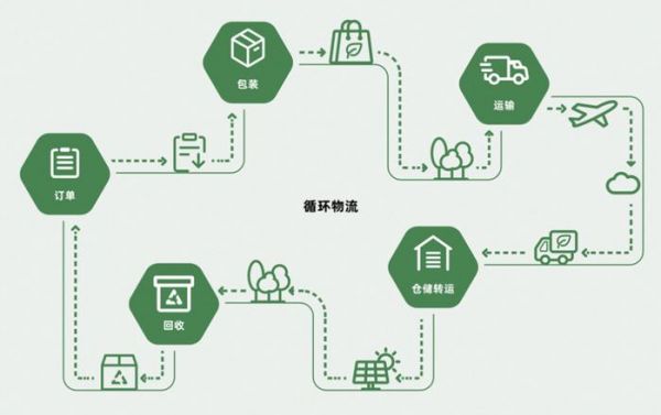 探索中国包装网，数字化时代的绿色物流新篇章中国包装网官网