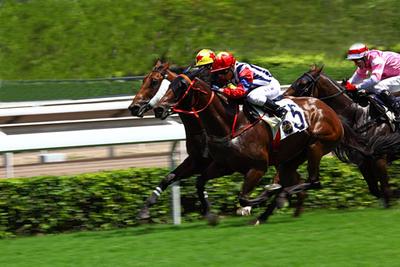 2019年香港马会内部免费资料，揭秘与解读香港马资料大全2019