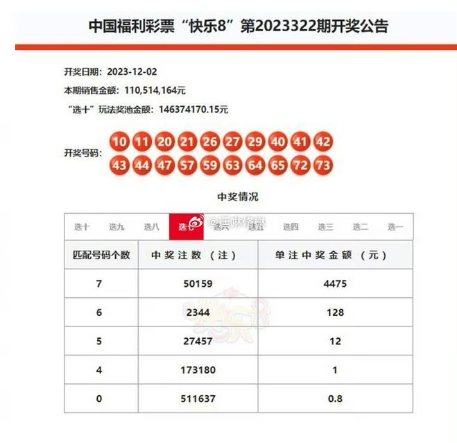 探索二肖3码的奥秘，解码数字背后的智慧与策略必中2肖二码