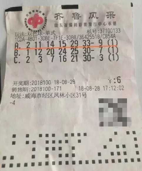 探索双色球，揭秘开奖信息与号码查询的奥秘双色球开奖信息号码查询结果最新