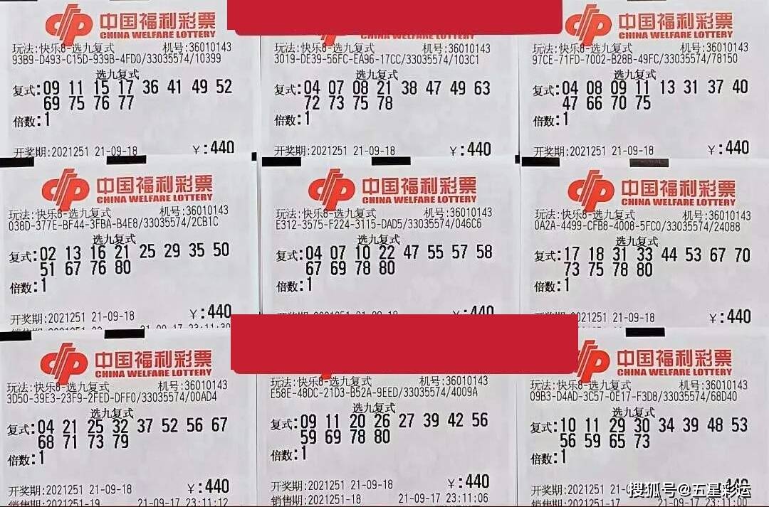 快乐八开奖，揭秘今日幸运号码，共享喜悦时刻今天快乐八开奖号码是什么号码啊